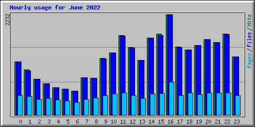 Hourly usage for June 2022